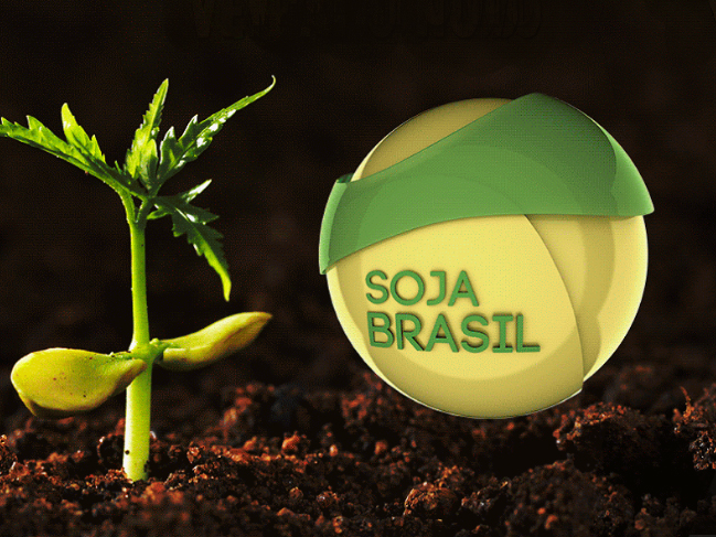 Fórum Soja Brasil acontece nesta quinta na Expointer