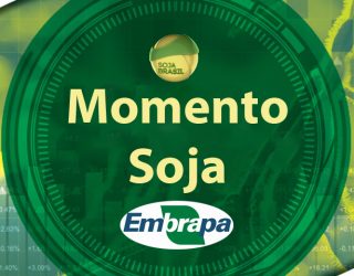 Safra 2017/2018 – Expansão da soja Safra 2017/2018 – Expansão da soja