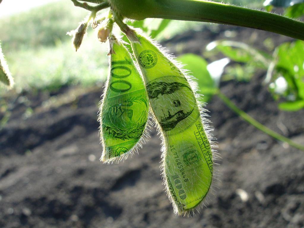 O USDA vem aí! Veja como ficaram as cotações da soja com a expectativa do relatório O USDA vem aí! Veja como ficaram as cotações da soja com a expectativa do relatório