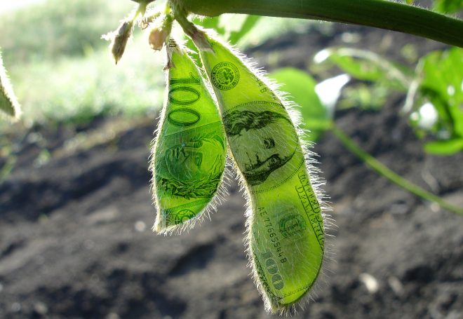 Brasil: saca da soja se desvaloriza até R$ 2 e pode registrar outra forte queda. Entenda!