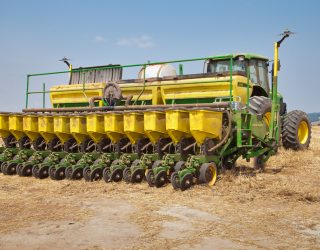 Sojicultores de Goiás já abrem mão da 2ª safra de milho