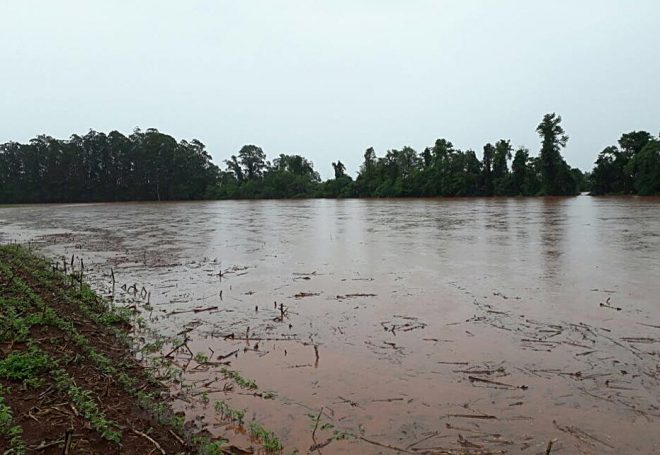 Soja: cidades de Minas Gerais recebem maior chuva da história