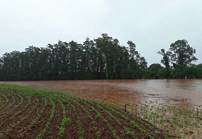 Excesso de chuvas alaga lavouras e atrapalha colheita da soja em Mato Grosso