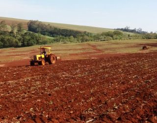 Valor do arrendamento sobe e sojicultores já desistem de ampliar área