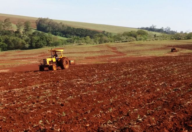 Valor do arrendamento sobe e sojicultores já desistem de ampliar área