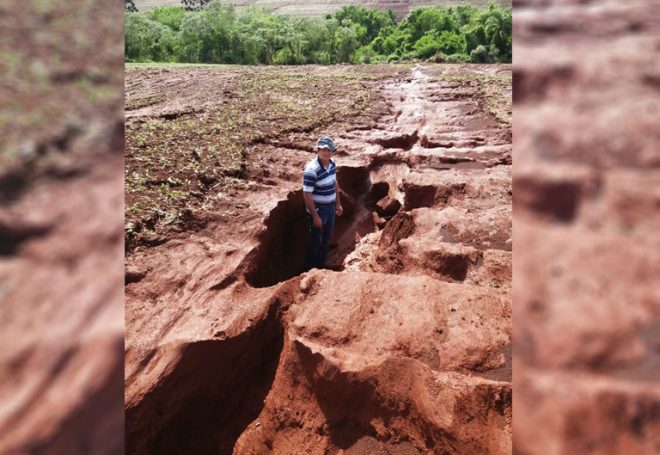 Chuvas destroem metade da lavoura de sojicultor no Paraná