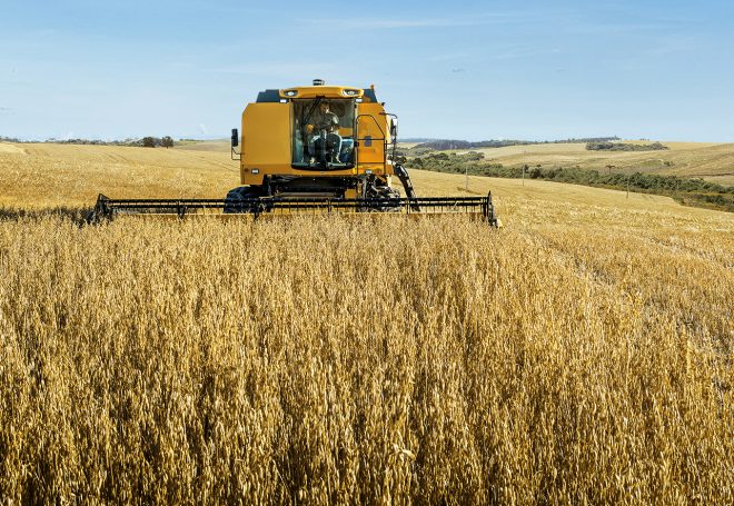 Colheita está adiantada em Mato Grosso e muito atrasada no Paraná