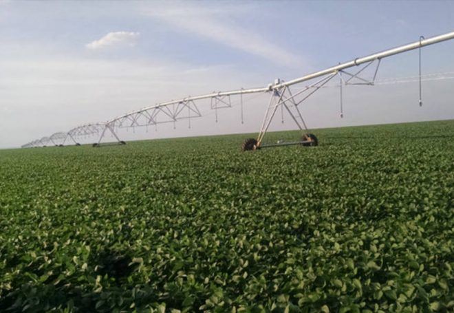 Município aposta em irrigação da soja e quase dobra produtividade