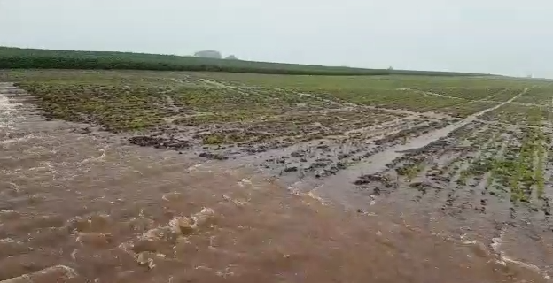 Rio transborda no Paraná e destrói lavoura de soja