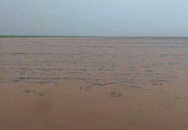 Fortes chuvas deixam 300 hectares de soja alagados em Sorriso (MT)