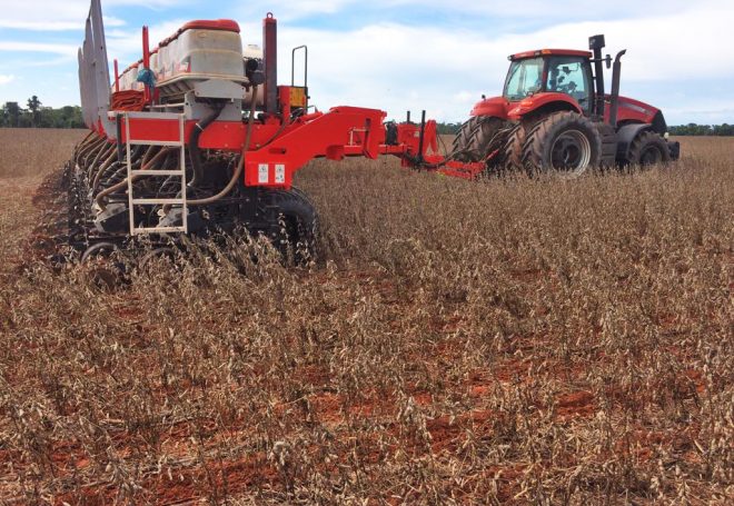 Chuva adia colheita, soja estraga e produtor planta milho em cima