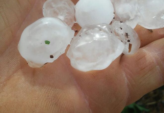 Temporais ameaçam lavouras de soja de Mato Grosso