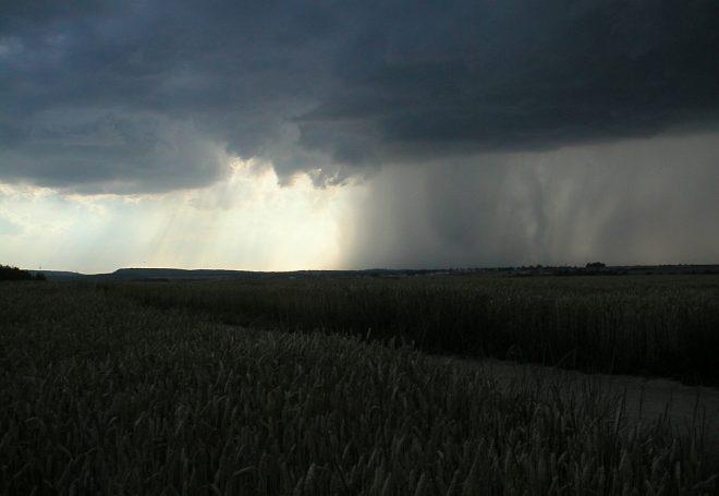 Soja: meteorologia alerta para temporais no Sul, Sudeste e Centro-Oeste