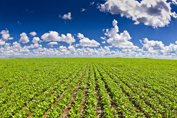 Agricultura de precisão quase dobra produtividade da soja em 4 anos