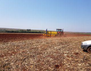 Sojicultores dão largada no plantio da soja e falam dos problemas que estão enfrentando