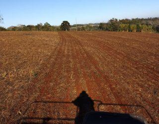 Reality Soja Brasil: expectativa era colher 70 sacas por hectare, mas só veio metade