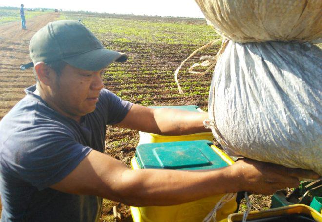 Índios de Mato Grosso se tornam produtores de soja e são acusados de plantar transgênicos