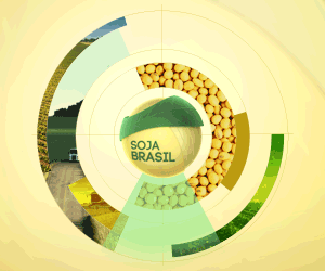Começa na próxima terça a Caravana Soja Brasil pelas cooperativas do PR