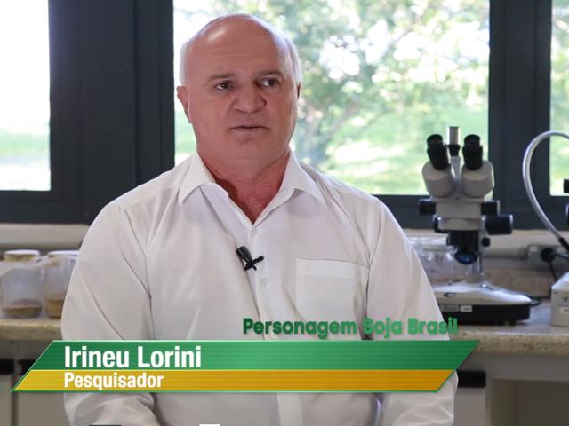 Personagem Soja Brasil: conheça o pesquisador Irineu Lorini