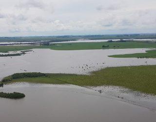 Para Emater-RS, perdas com o clima não devem reduzir muito safra da soja