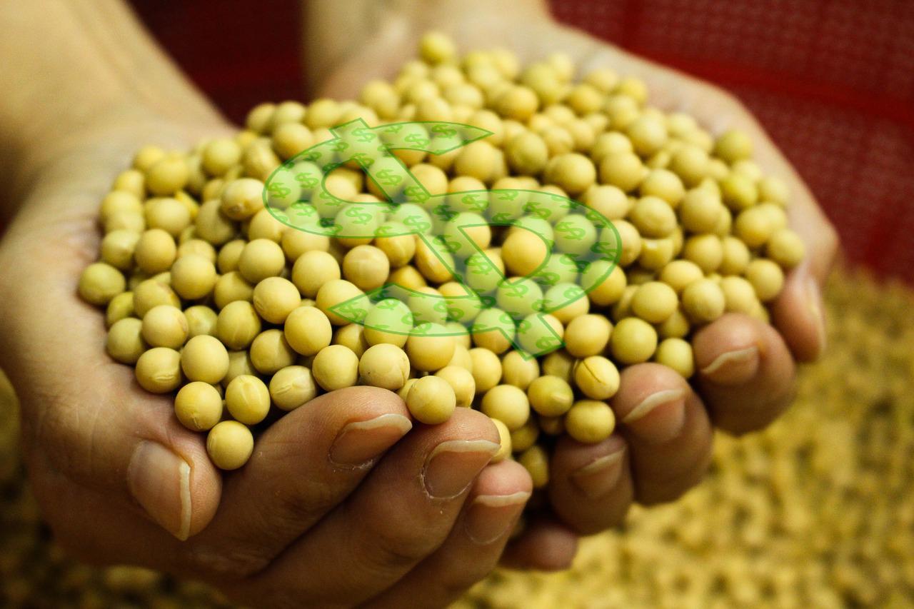 Rendimento médio de trabalhadores da agropecuária cresceu 5,5% no 1º trimestre
