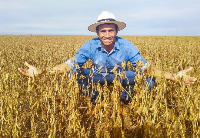 Índios de Mato Grosso começam a colher soja, mas não podem vender