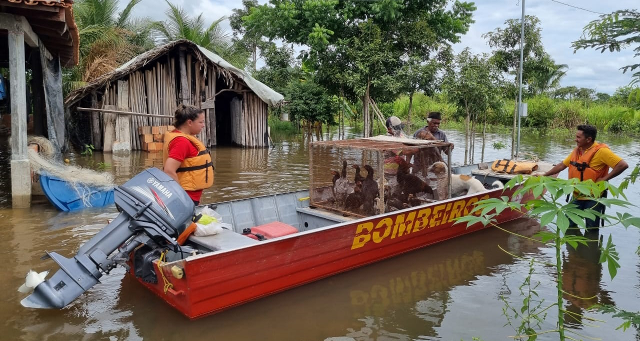 Bombeiros ajudam família em enchente no Tocantins