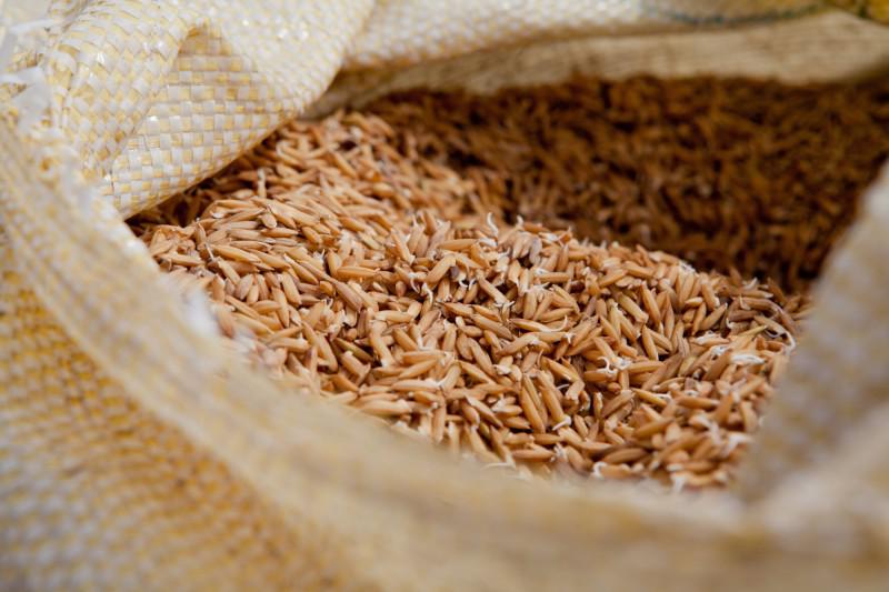 Conab vai adquirir de 137 mil toneladas de arroz para formar estoques