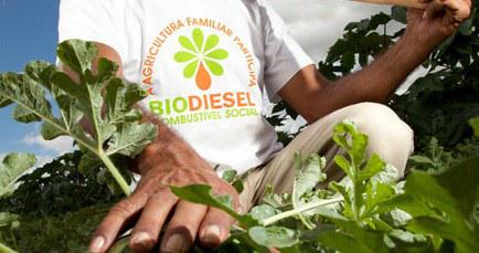 Selo Biocombustível Social agricultores
