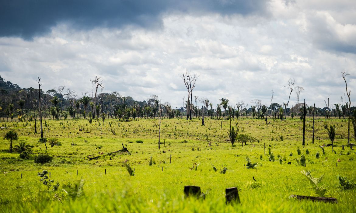 Desmatamento cai 72% no Pantanal e sobe 4% na Amazônia