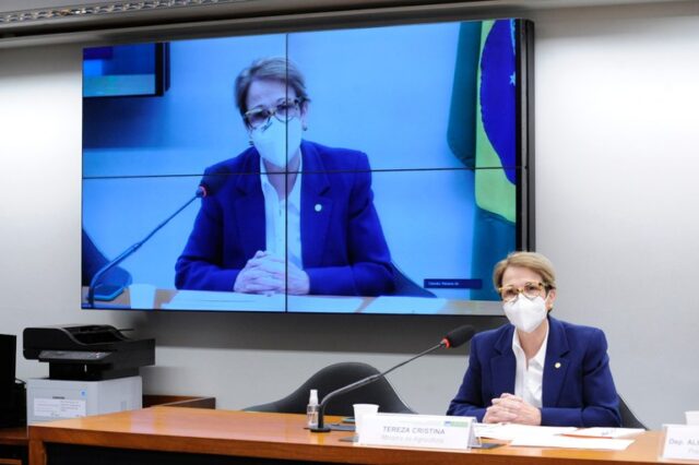 ministra fala sobre plano safra na câmara