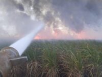 Incêndio lavoura cana campo novo do parecis