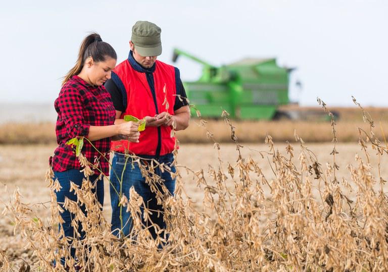 Aprendizado no campo agro