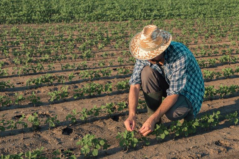 Câmara aprova projeto que facilita acesso do agricultor familiar ao benefício garantia-safra