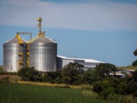 Cooperativas, silo para armazenagem, soja, conab