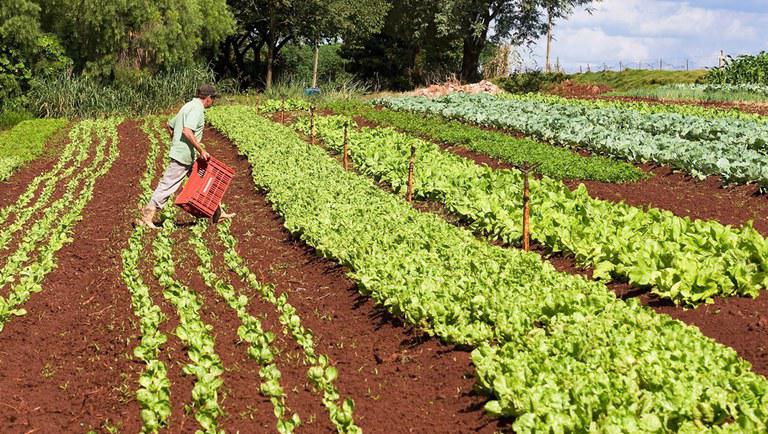 Estímulo à modernização na agricultura familiar vai a sanção