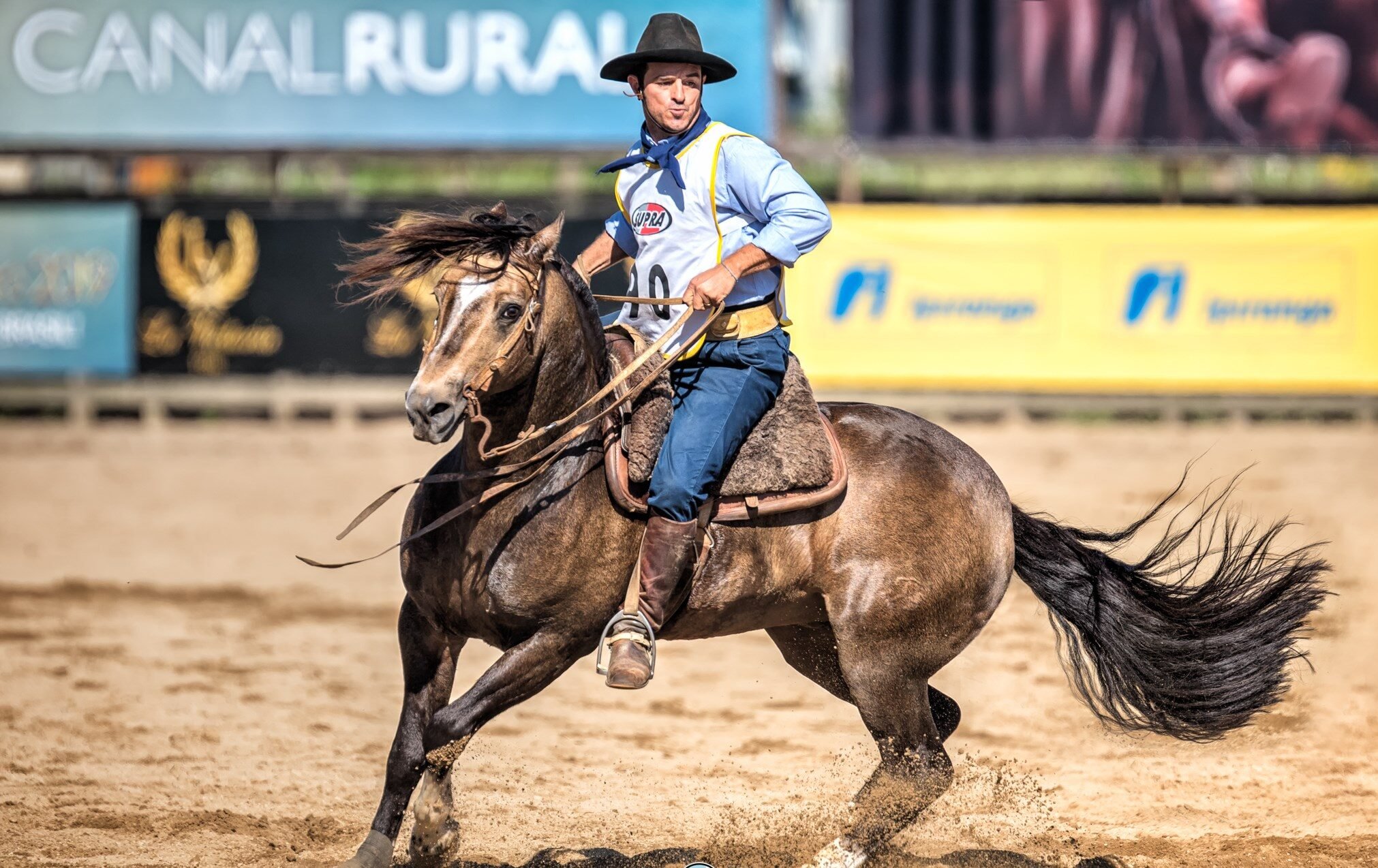 Cavalo crioulo Quicio Tupambaé, campeão da Classificatória Aberta de Esteio (RS)