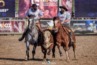 Classificatória Sul Freio de Ouro