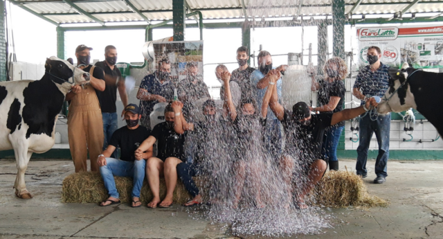 Concurso gado de leite