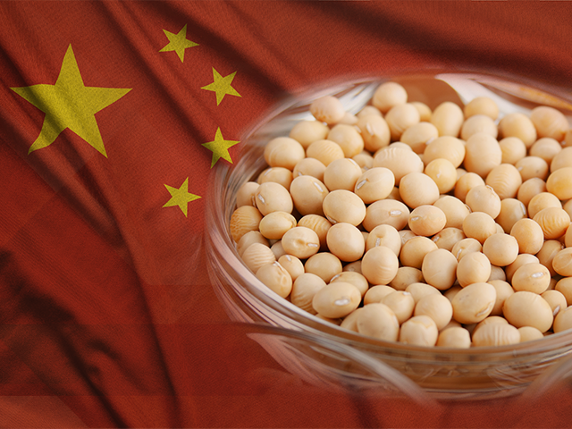 Devido ao tarifaço dos EUA, soja brasileira ganha protagonismo com compras da China