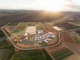 Bayer-Petrolina