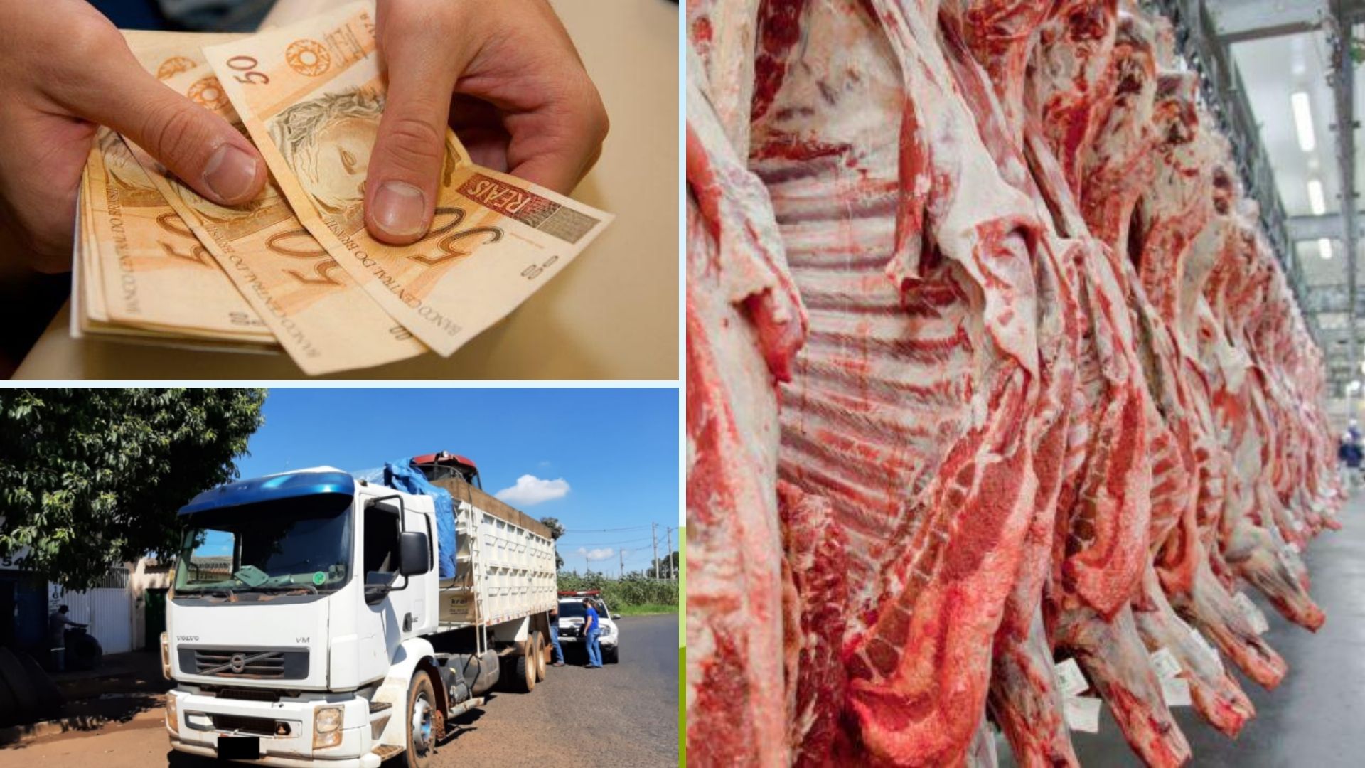 Mercado pecuário, Auxílio Brasil e caminhoneiros; confira o que foi destaque na semana