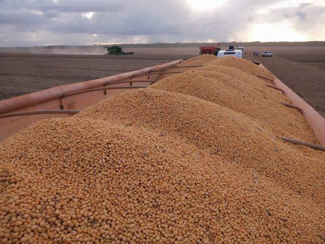 Colheita da soja é realizada em propriedade em Mato Grosso
