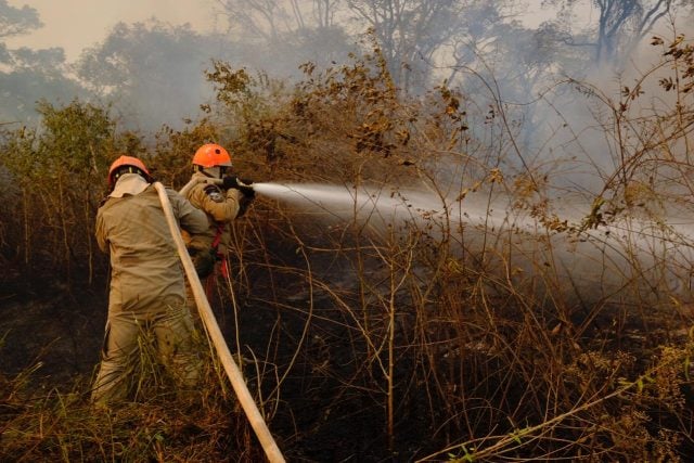 'Cooperação é fundamental para resultado efetivo contra queimadas', afirmam Bombeiros