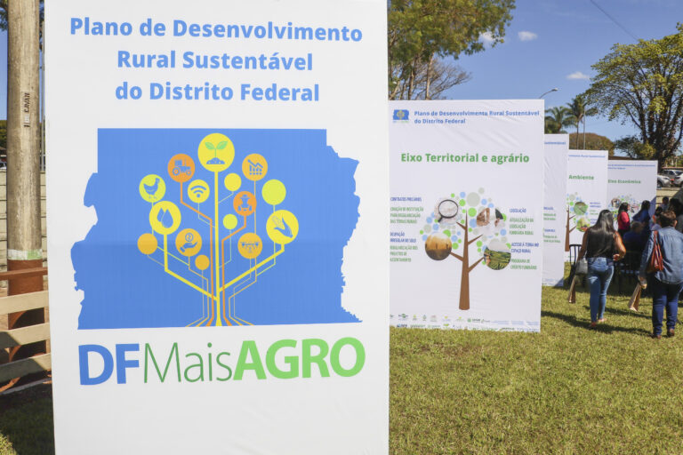 Agricultura, DFMaisAgro