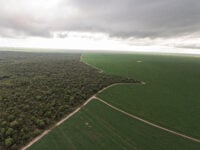 Fazenda Progresso - Piauí