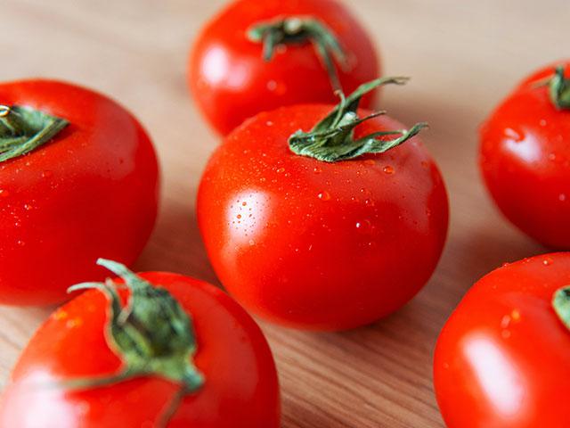 Doenças do tomateiro: conheça as mais comuns e saiba como controlar