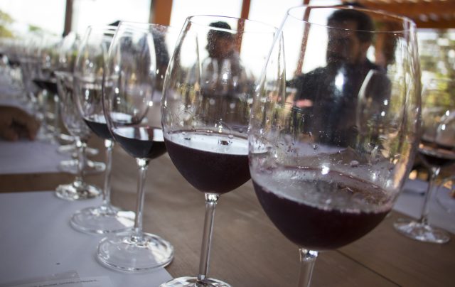 vinho - vinhos