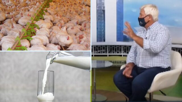 Veja o que foi destaque no Rural Notícias desta semana