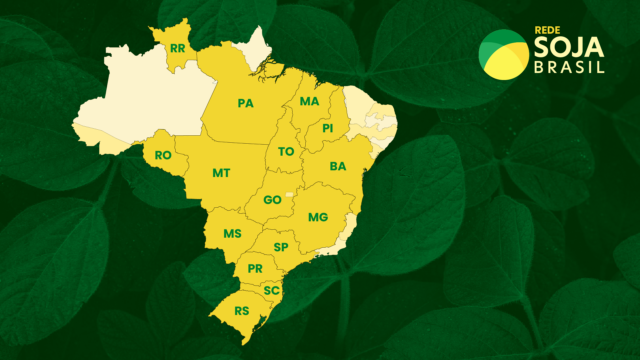 Rede Soja Brasil 21/22